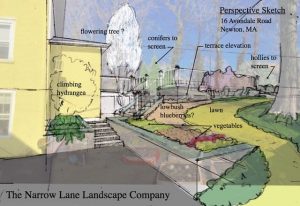 landscape design overlay sketch