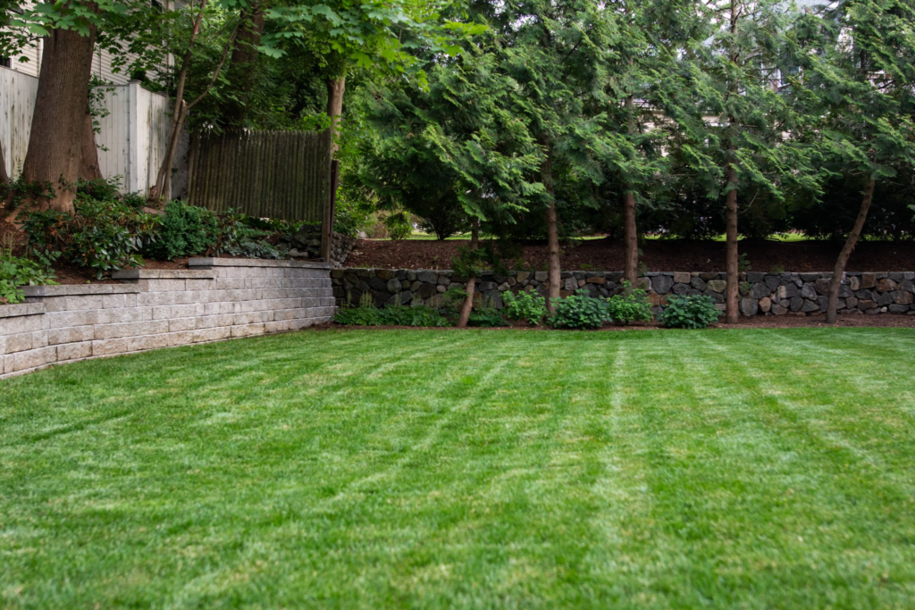 A well groomed lawn cared for by a professional lawn maintenance services